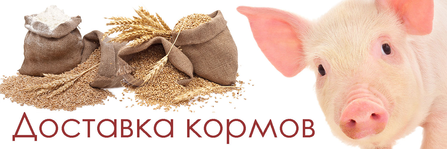 Корма для животных в Хабаровске с доставкой